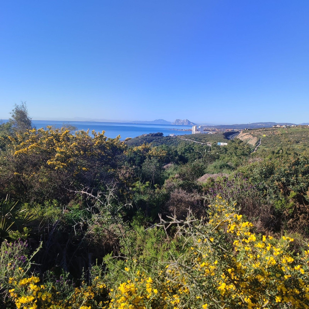 San Roque